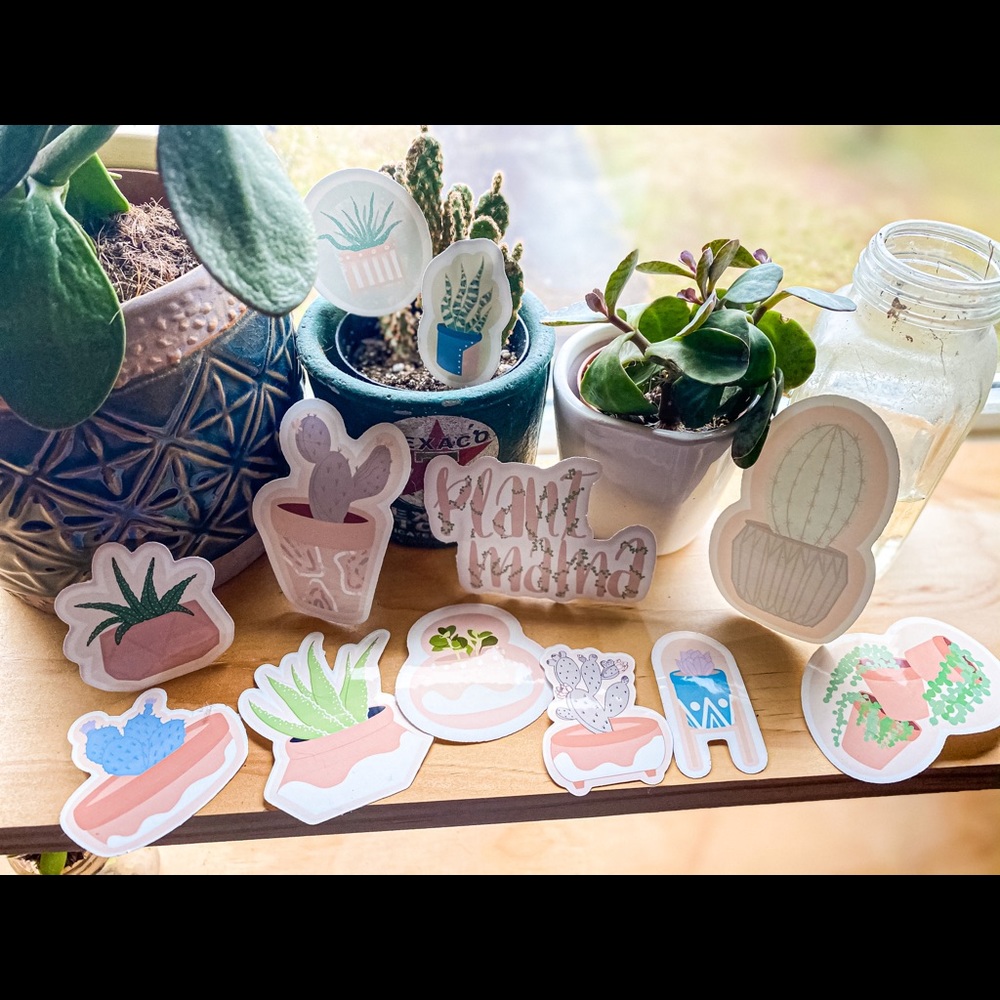 Cute succulent sticker pack!